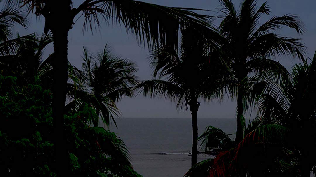 Tropical Rainstorm Backgrounds - HD Wallpaper 