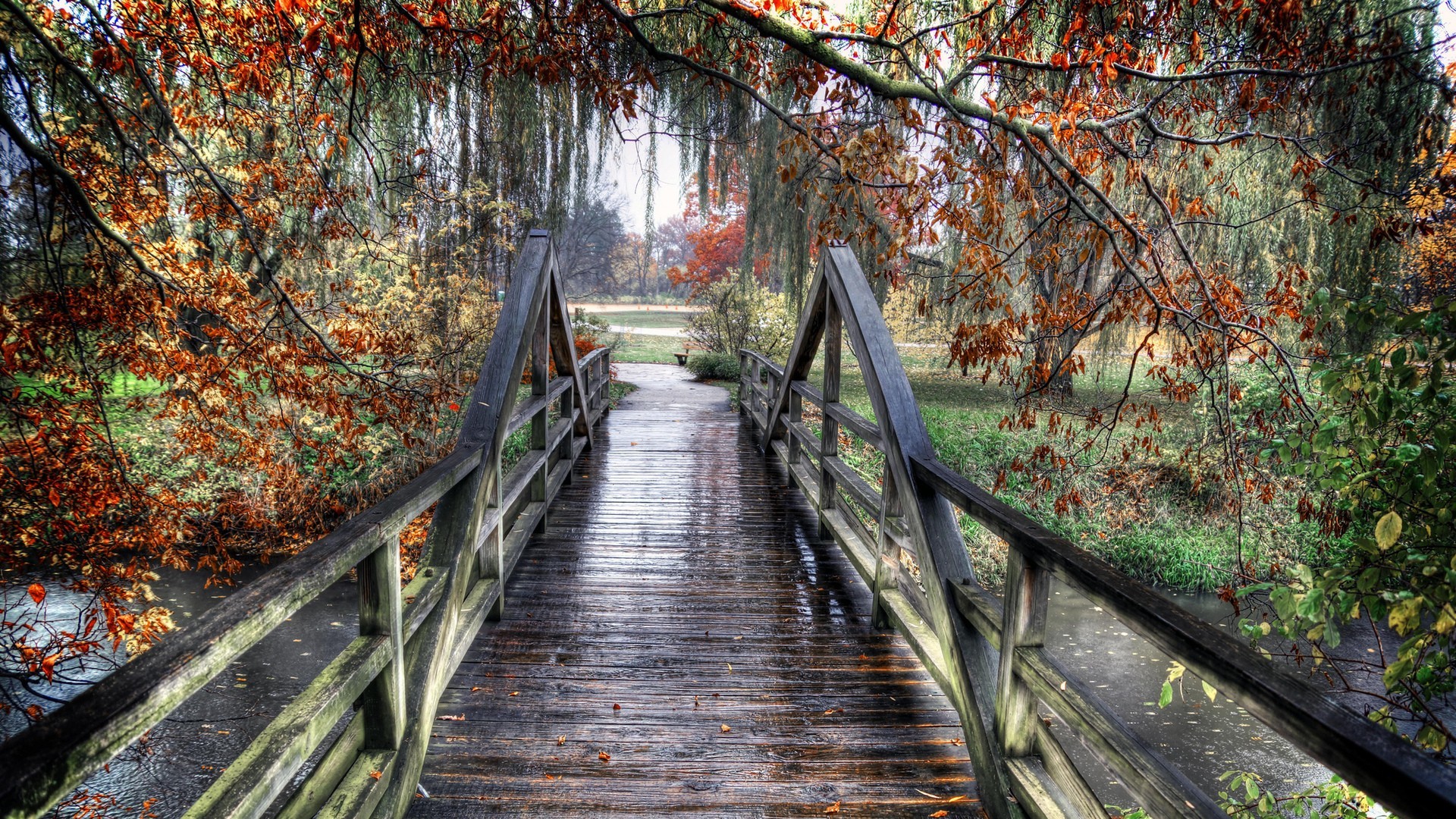 Lovely Wooden Bridge Rainy Autumn Day Wood River Trees - HD Wallpaper 