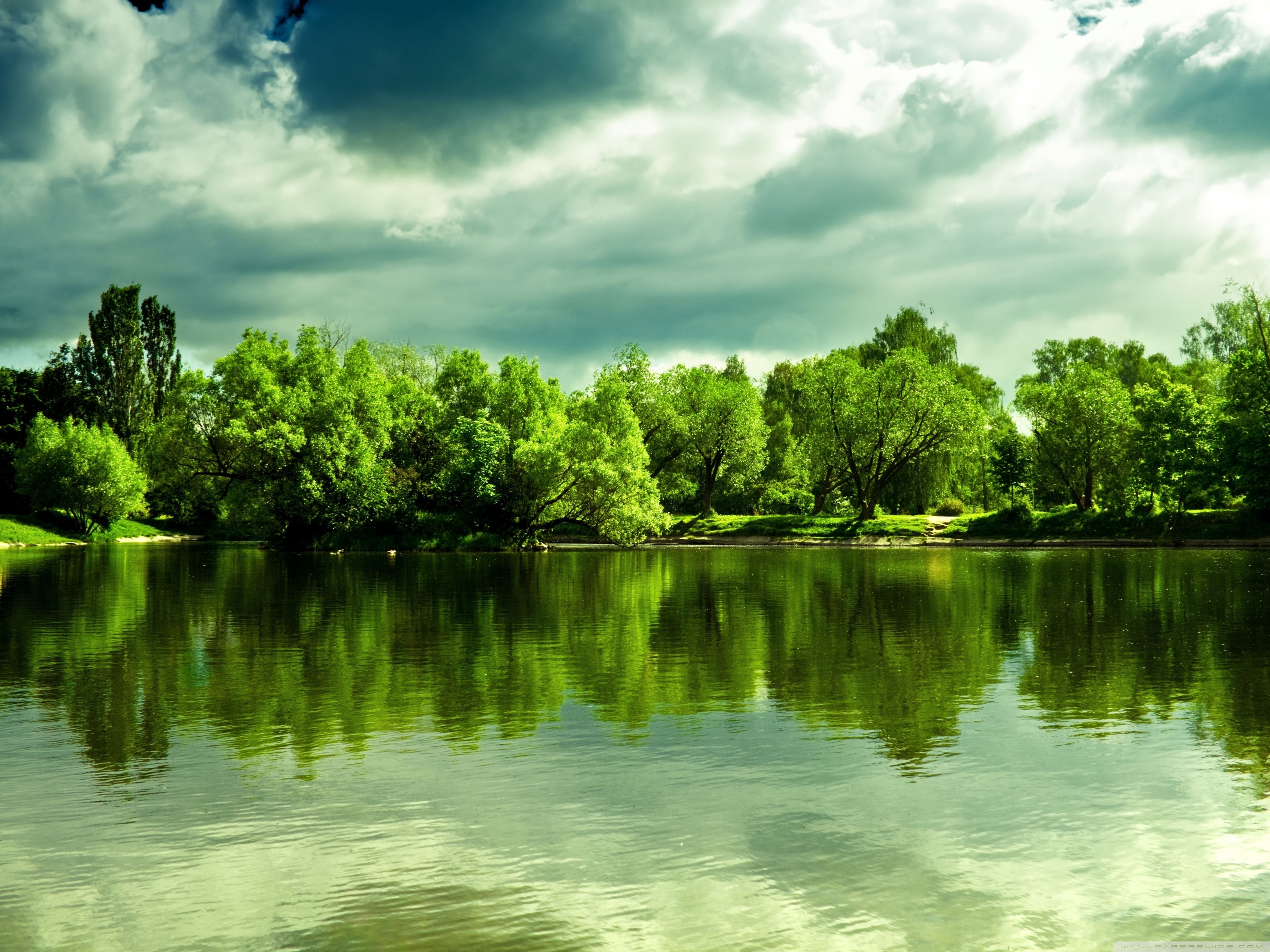 Green Trees - HD Wallpaper 