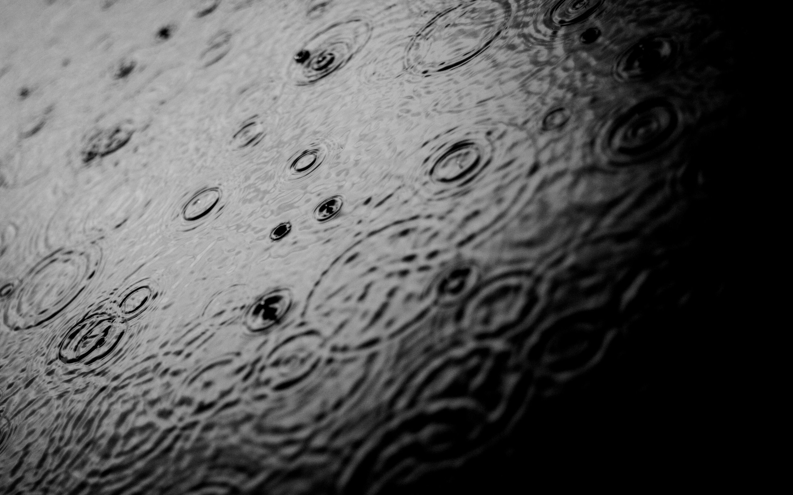 Close-up - HD Wallpaper 