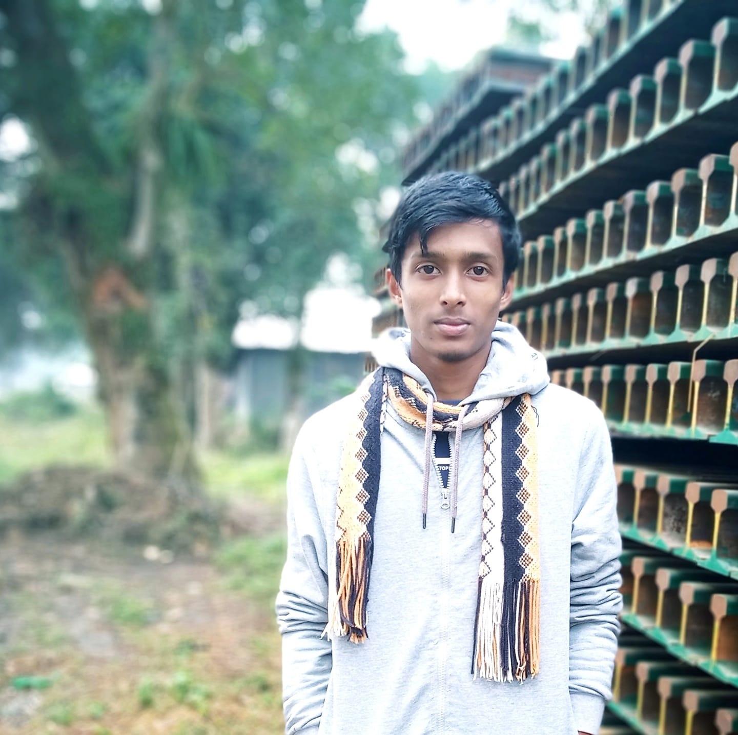 Olidur Rahman Author Of Techadvancefree - Tree - HD Wallpaper 