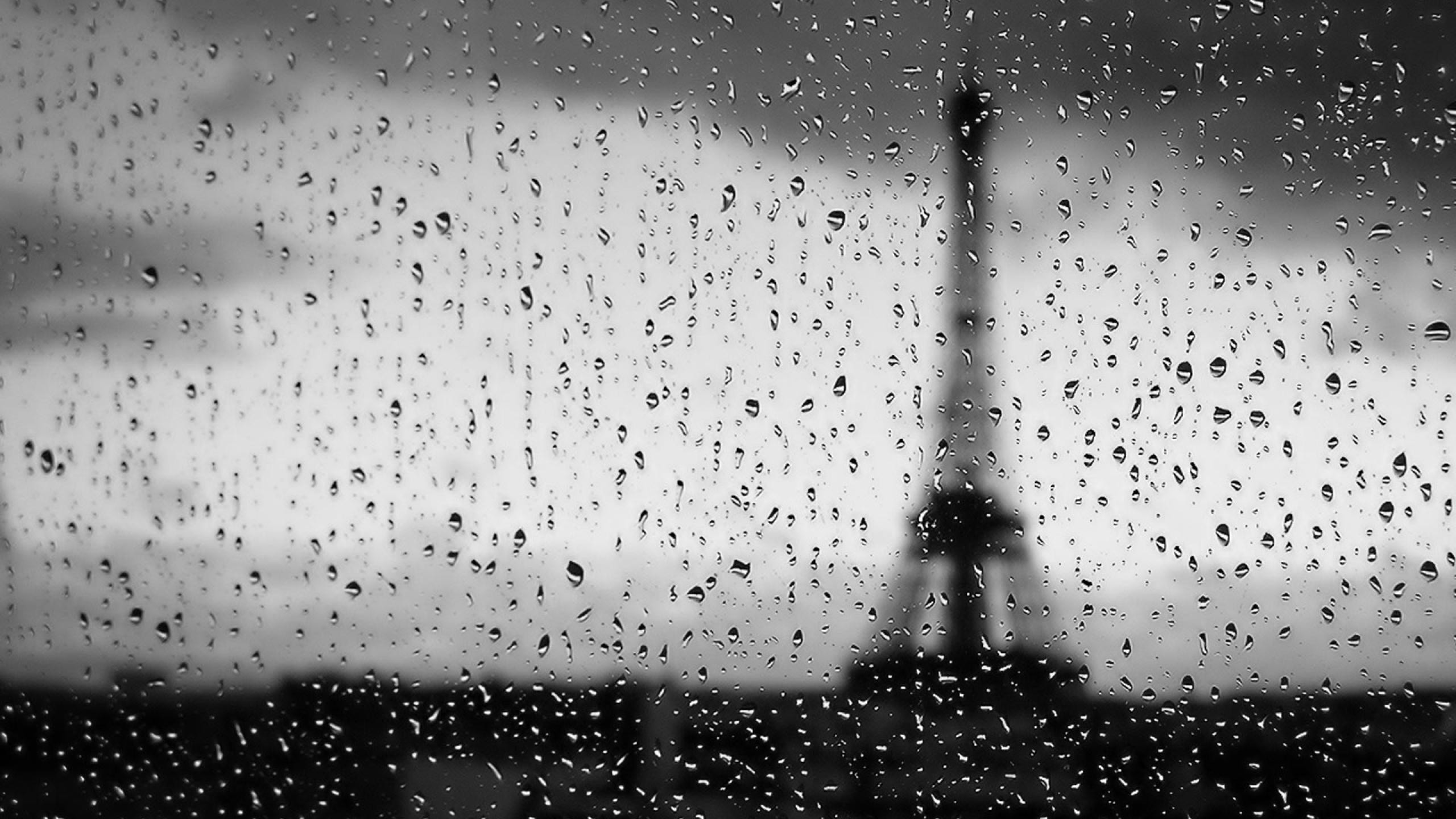 Black And White Rain 2560x1440 Wallpaper teahub.io