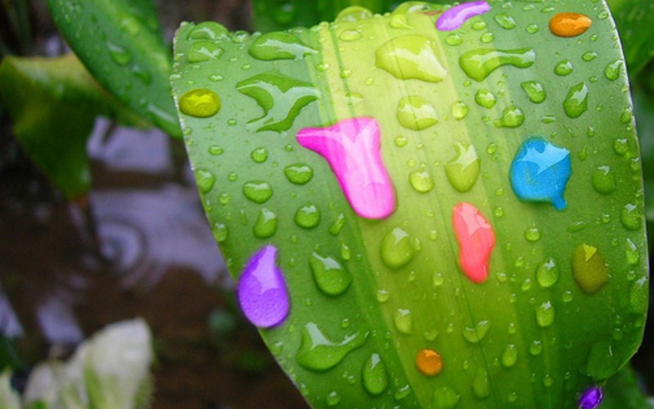 Raindrops - Colourful Rain - HD Wallpaper 
