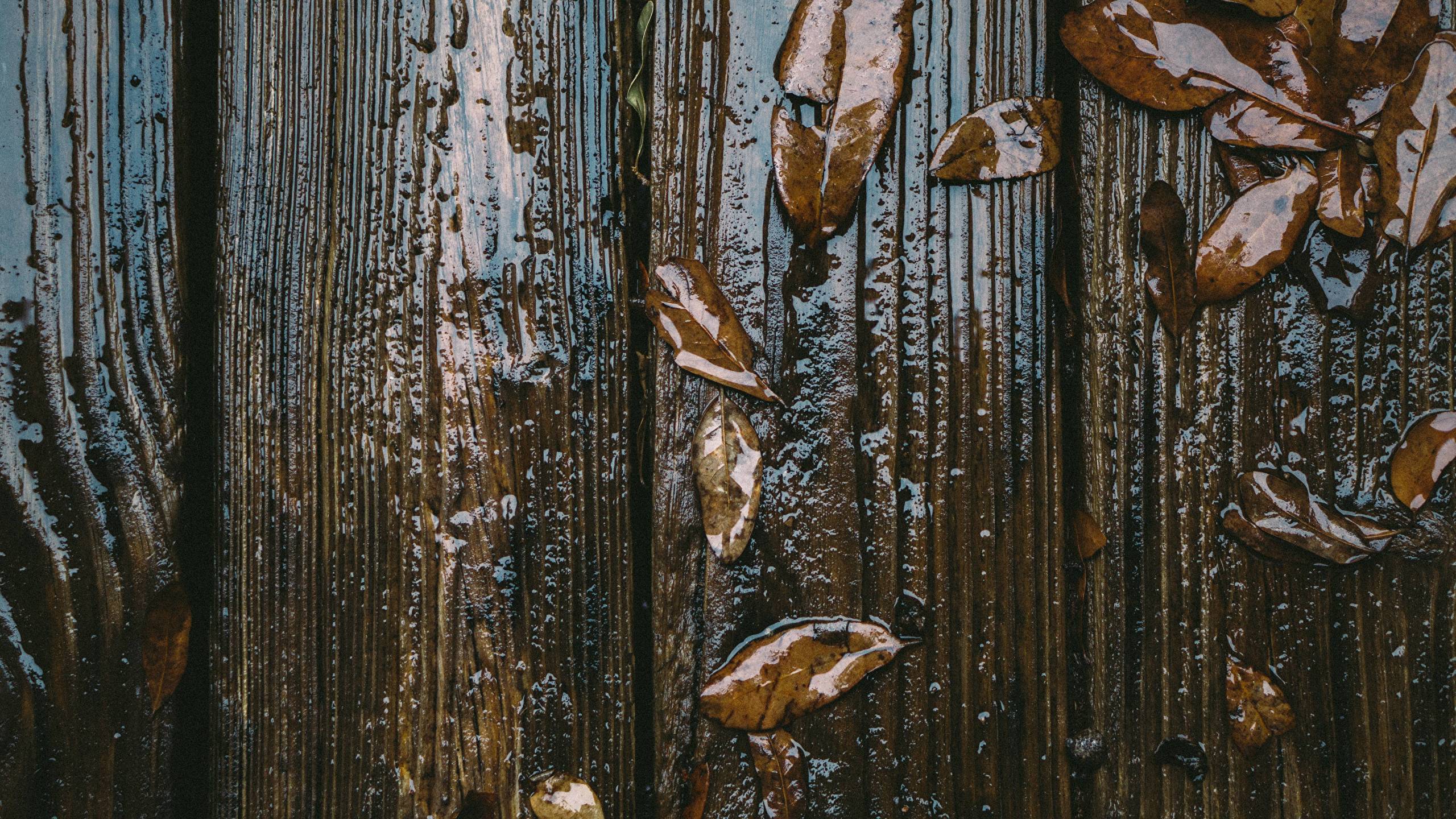 Download - HD Wallpaper 