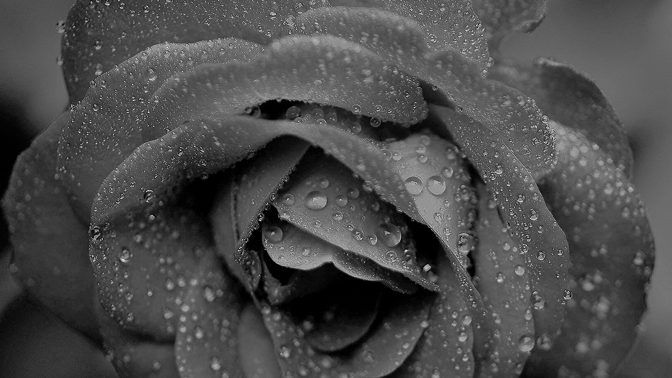 Dark Rain - HD Wallpaper 