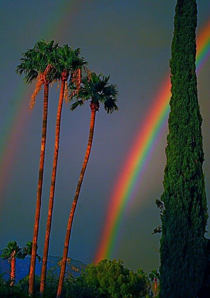 Raining Wallpaper Cool Whatsapp Status Rainbow Status For Whatsapp