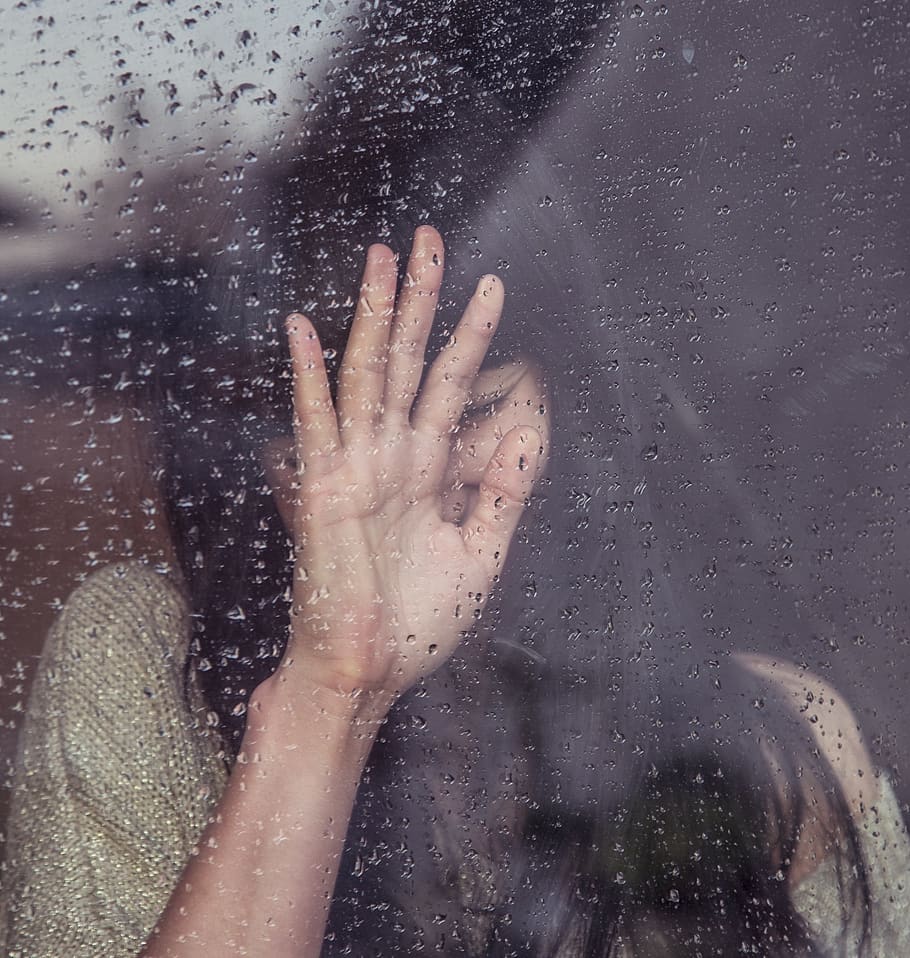 Girl, Sad, Crying, Raining, Rain Drops, Window, People, - Lioness In The Rain Rachel - HD Wallpaper 