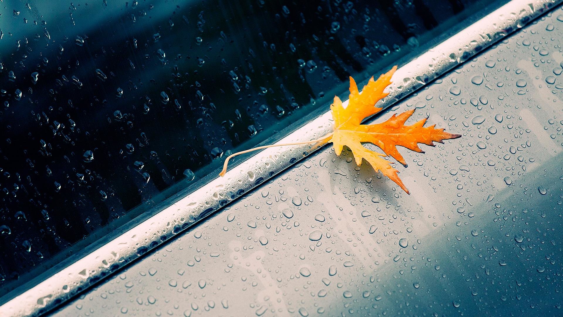High Resolution Rain Hd 1080p Background Id - Rainy Season Images Hd - HD Wallpaper 