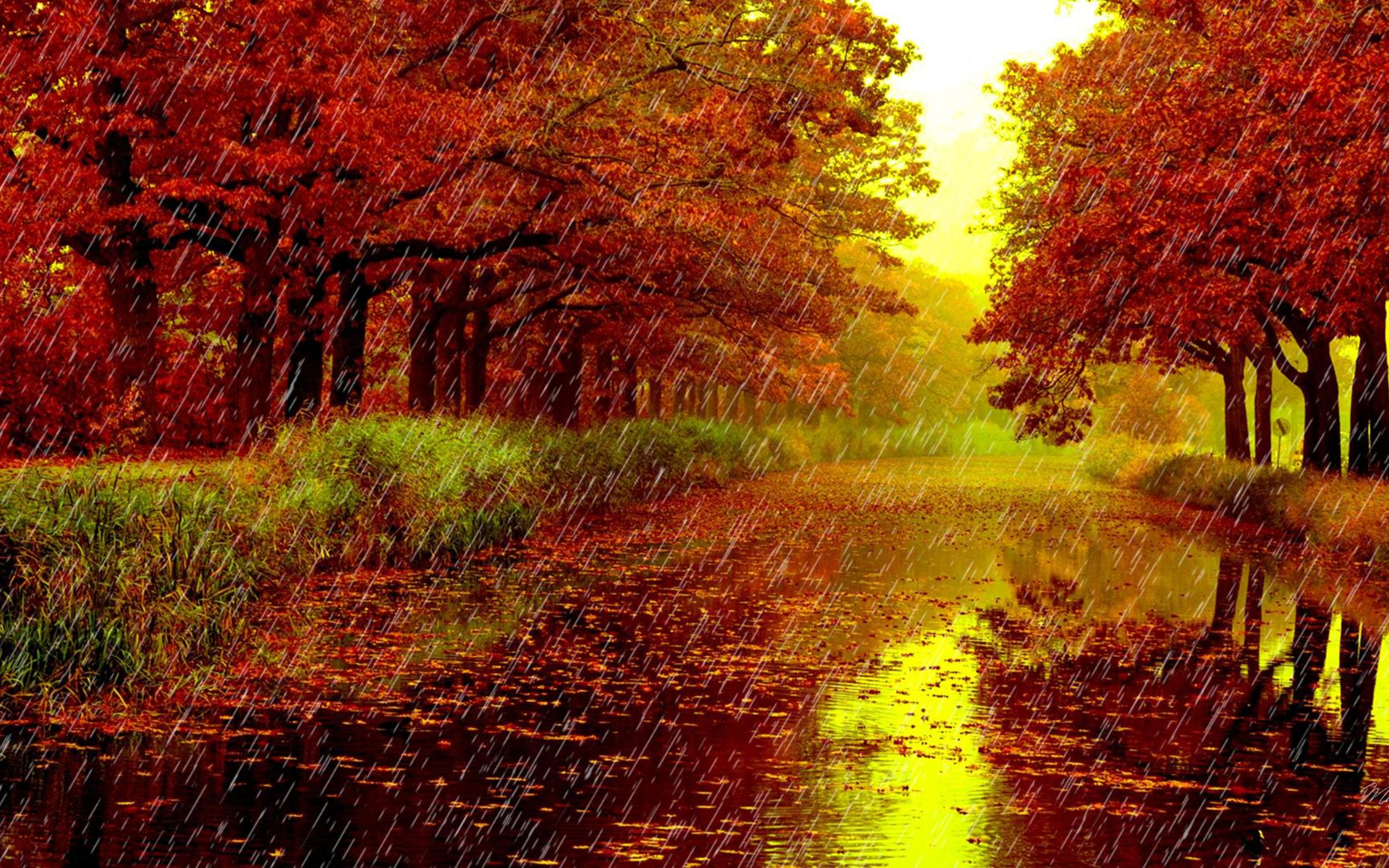 Rainy Day Wallpaper Free - Autumn Rainy Day - HD Wallpaper 