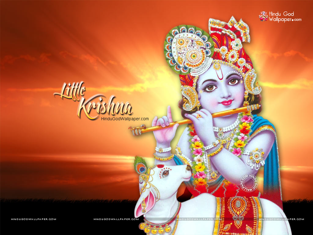 Little Krishna Picture Download - HD Wallpaper 