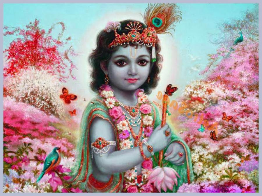 Laddu Gopal Ji Wallpapers - Sri Krisna - HD Wallpaper 