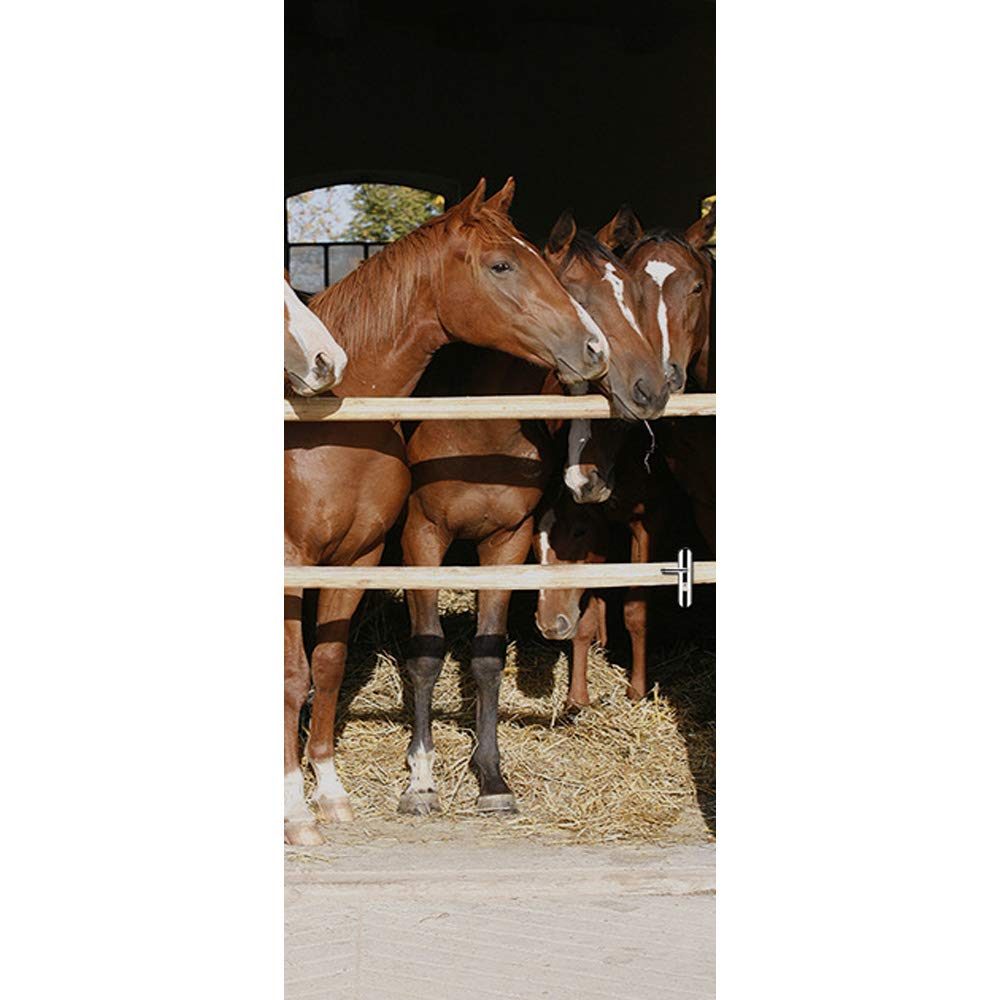 Sticker - HD Wallpaper 