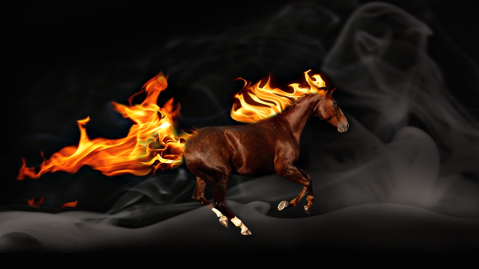 Black Horse With Fire - HD Wallpaper 