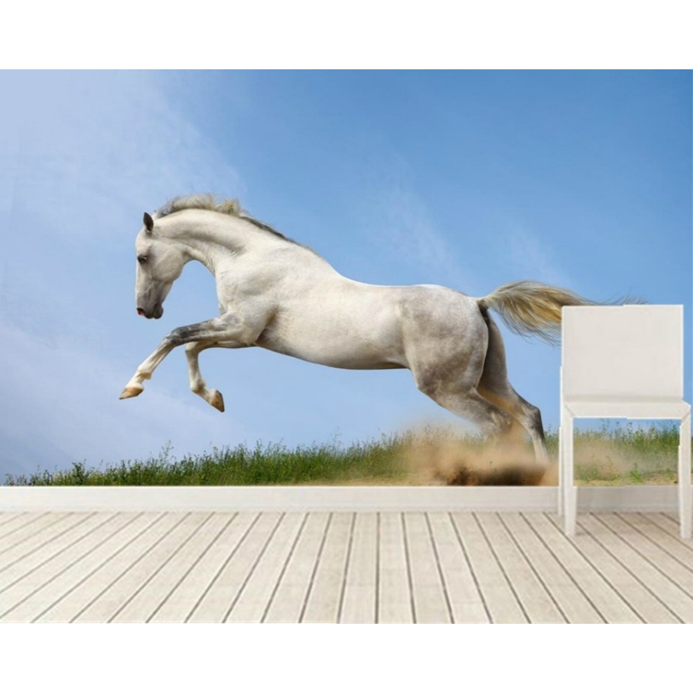 Whit Horse Runing Hd - HD Wallpaper 