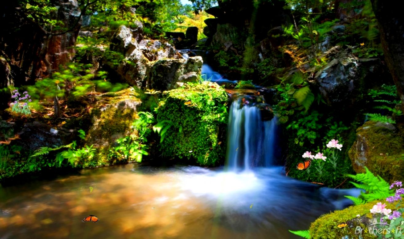 Download Free Just Paradise Animated Wallpaper Just - Animation Wallpaper Free Download - HD Wallpaper 