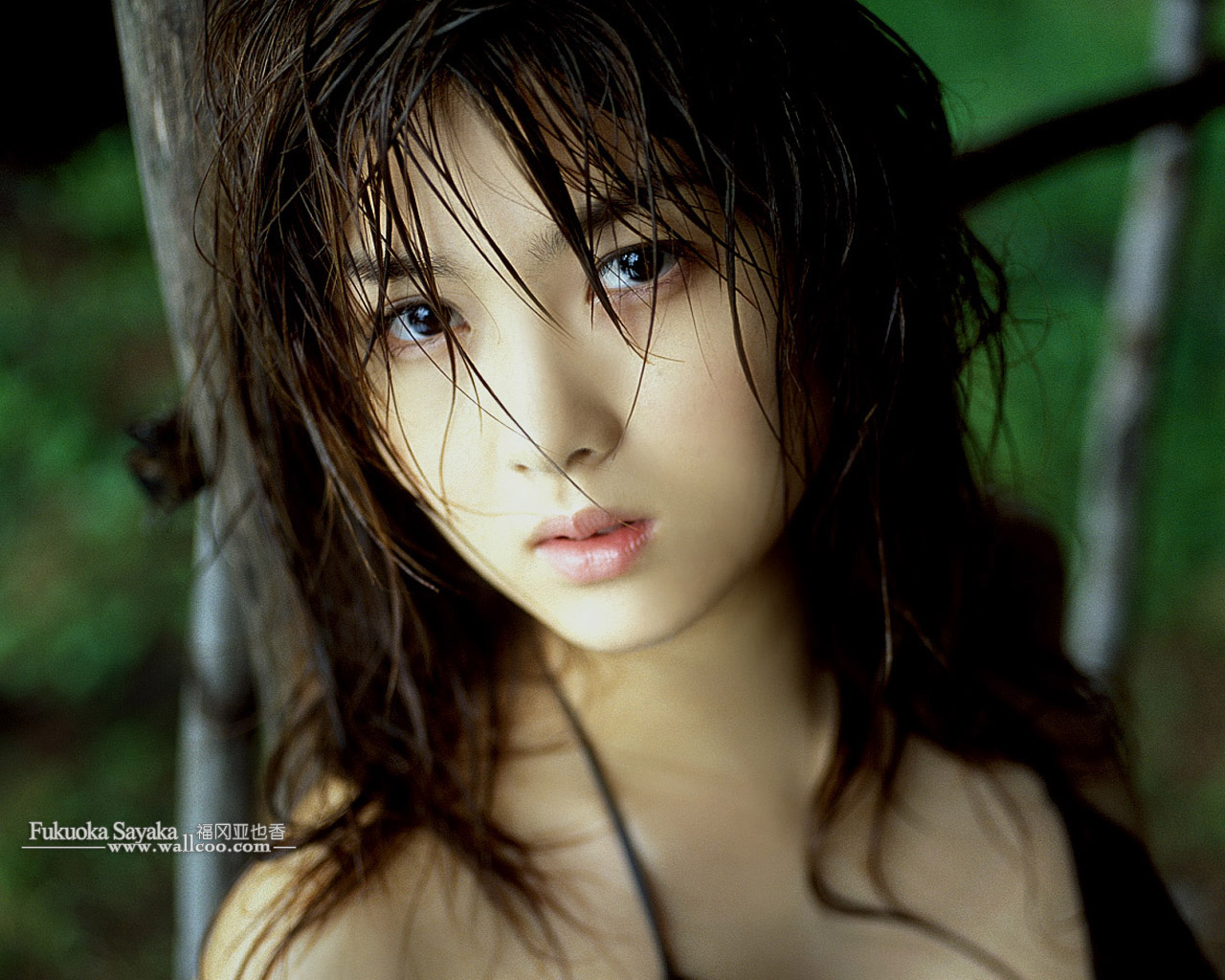 Innocent Sexy Girls - Fukuoka Sayaka - HD Wallpaper 