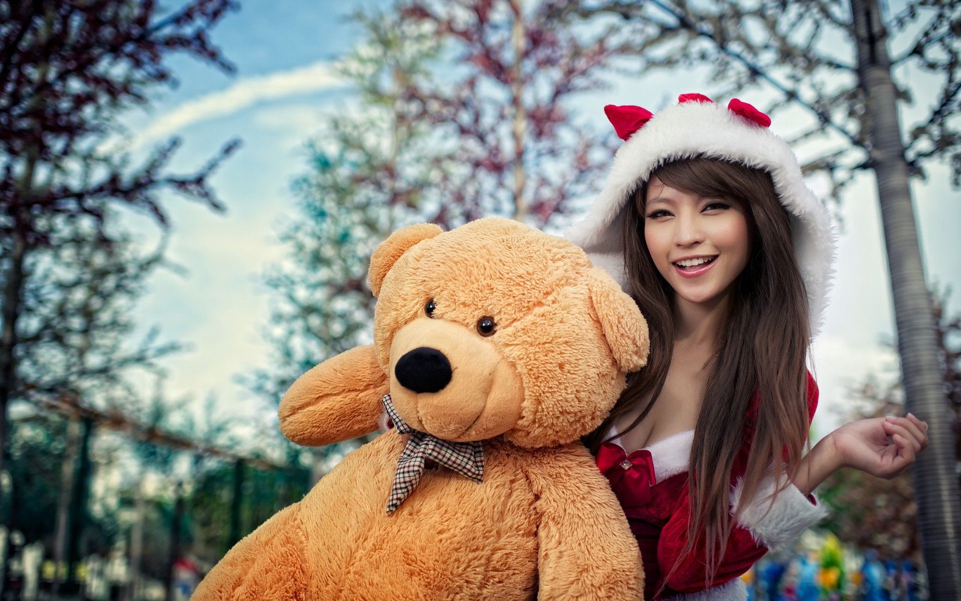 Teddy Bear - HD Wallpaper 