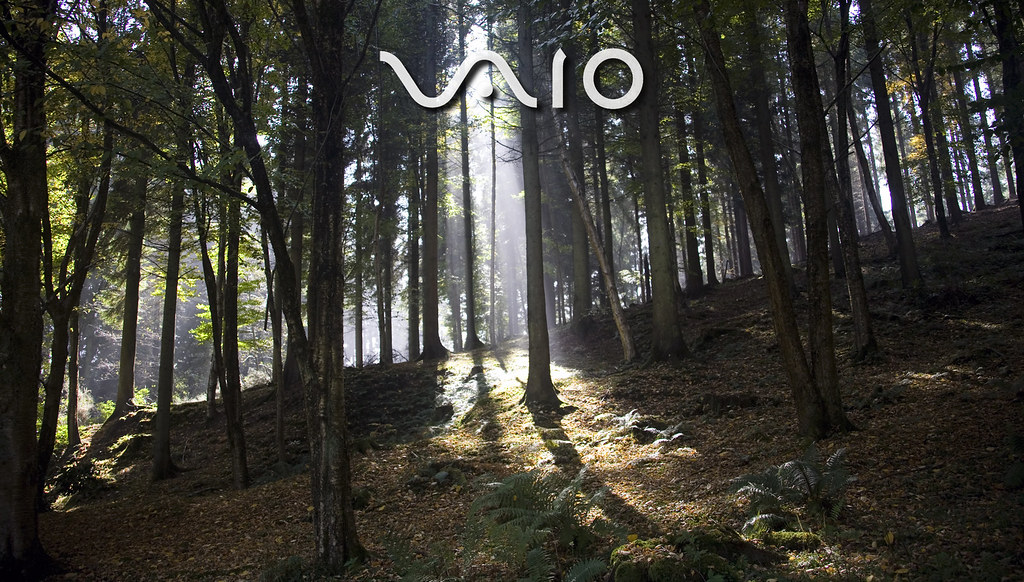 Vaio - HD Wallpaper 
