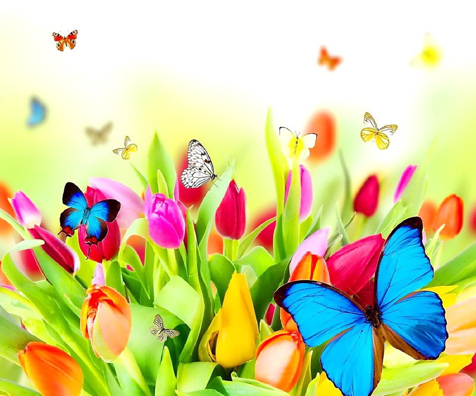 5d Wallpaper For Mobile - 960x800 Wallpaper 5d Wallpaper For Mobile - 960x800 Wallpaper