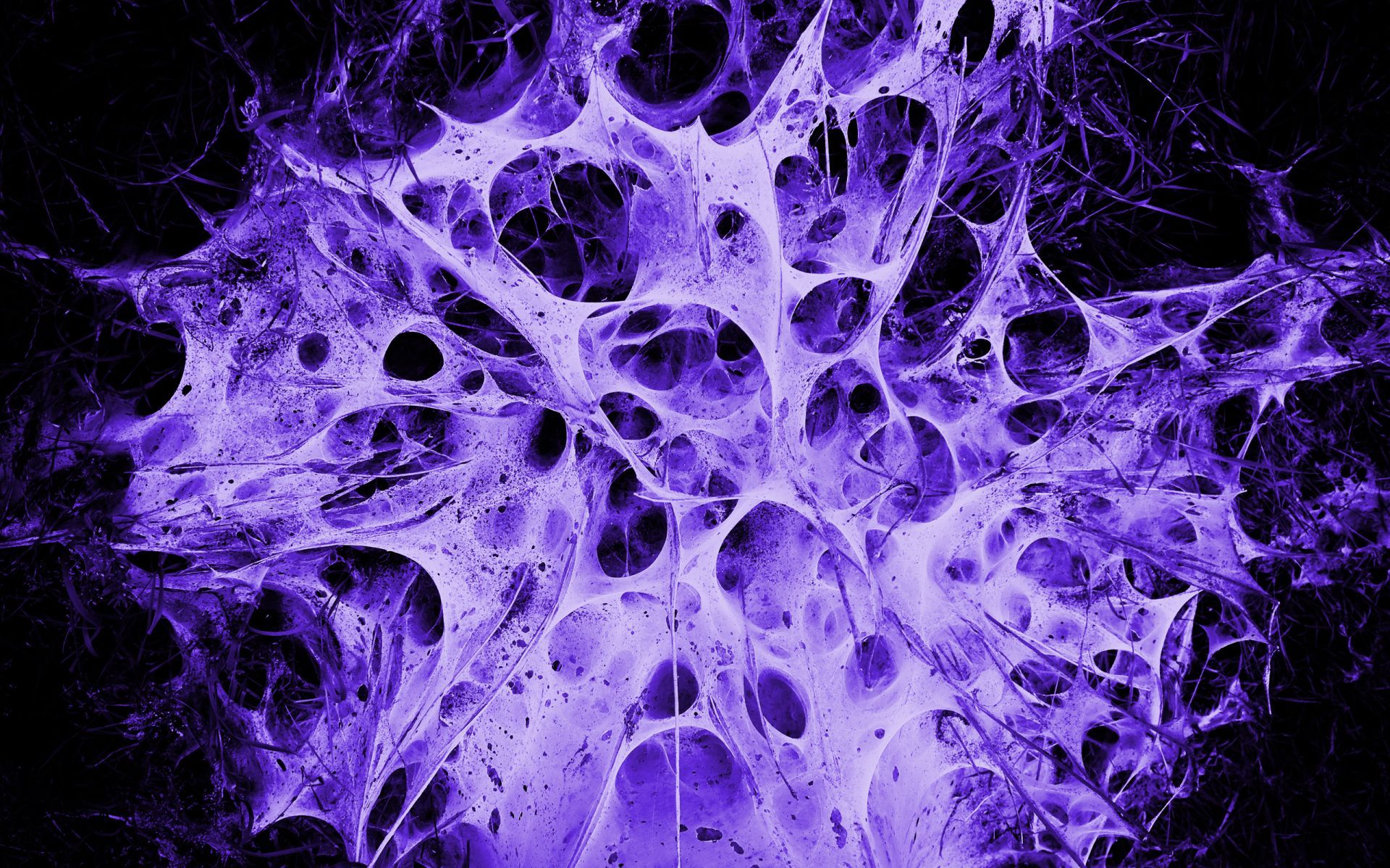 Colorful Abstract 186 Wallpaper - Purple Spider Web Aesthetic - HD Wallpaper 