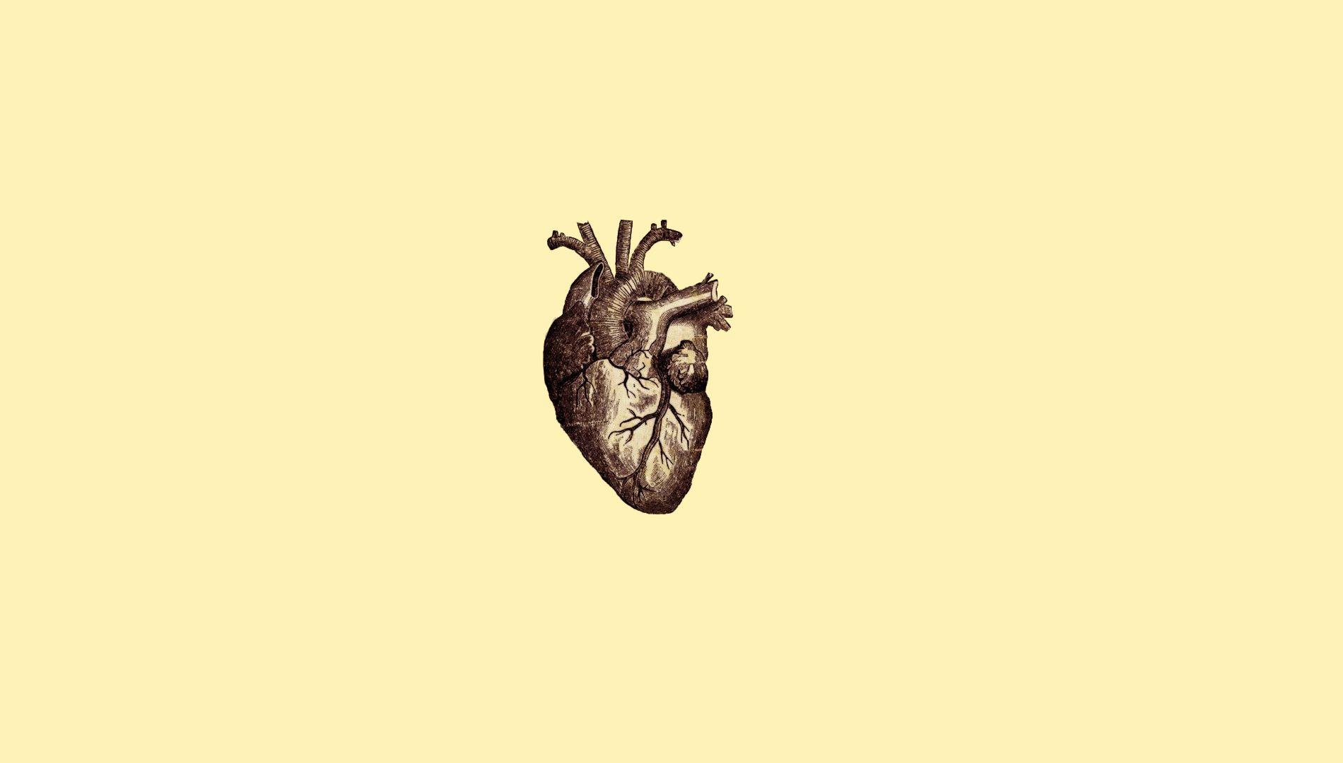 1900x1080 Wallpaper - HD Wallpaper 