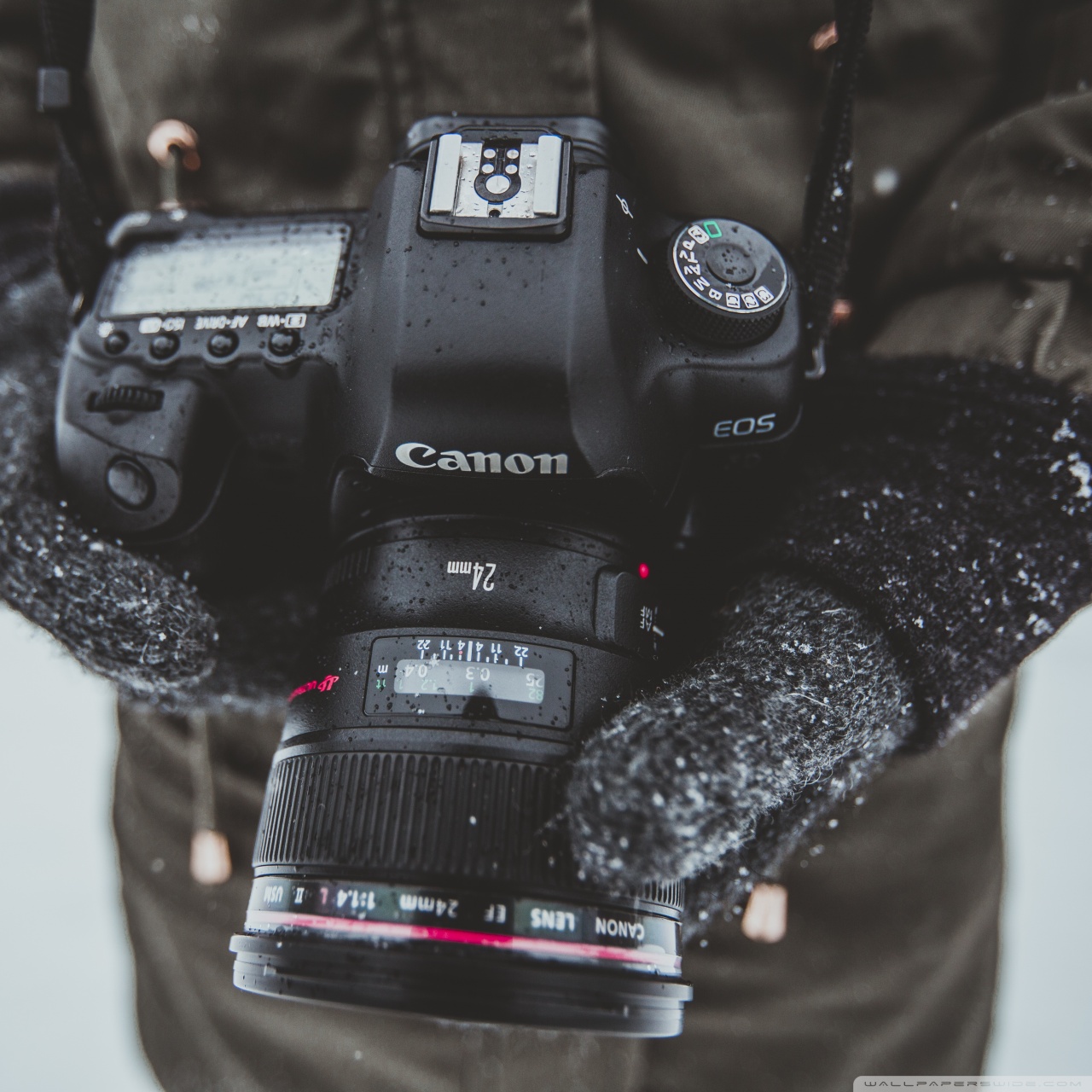 Canon 5d In Hand - HD Wallpaper 