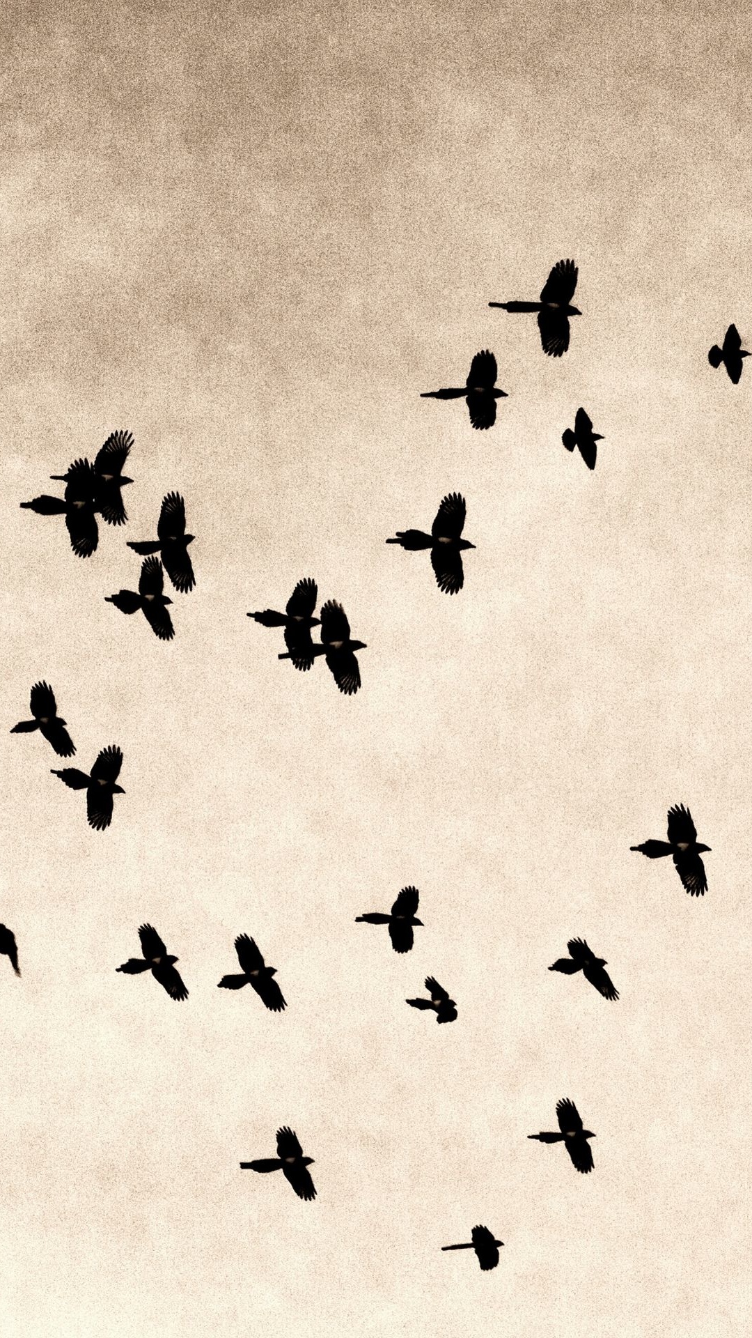 For Samsung Galaxy S Thousands Of Hd For Your Samsung - HD Wallpaper 