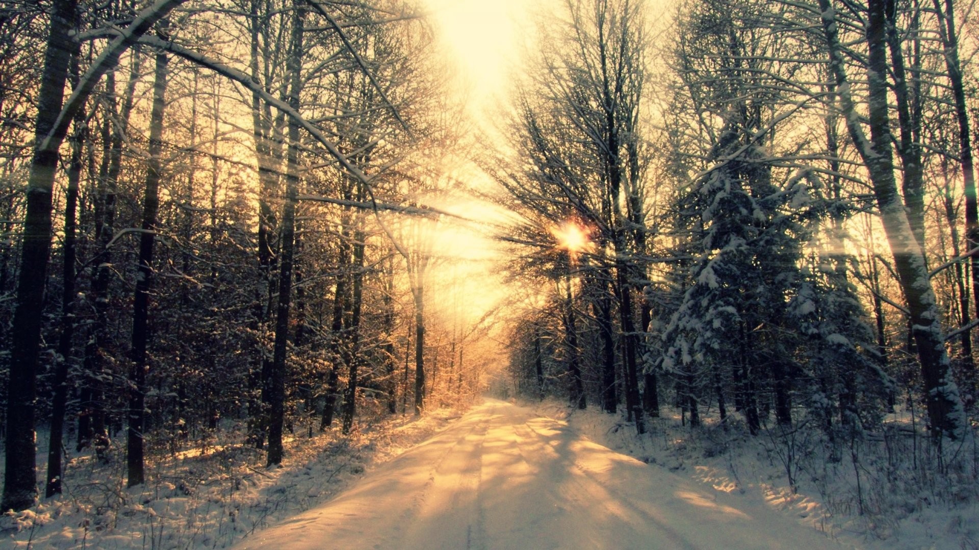 Wallpaper Winter Forest K K Wallpaper Mountain Sun - Winter Desktop Backgrounds - HD Wallpaper 