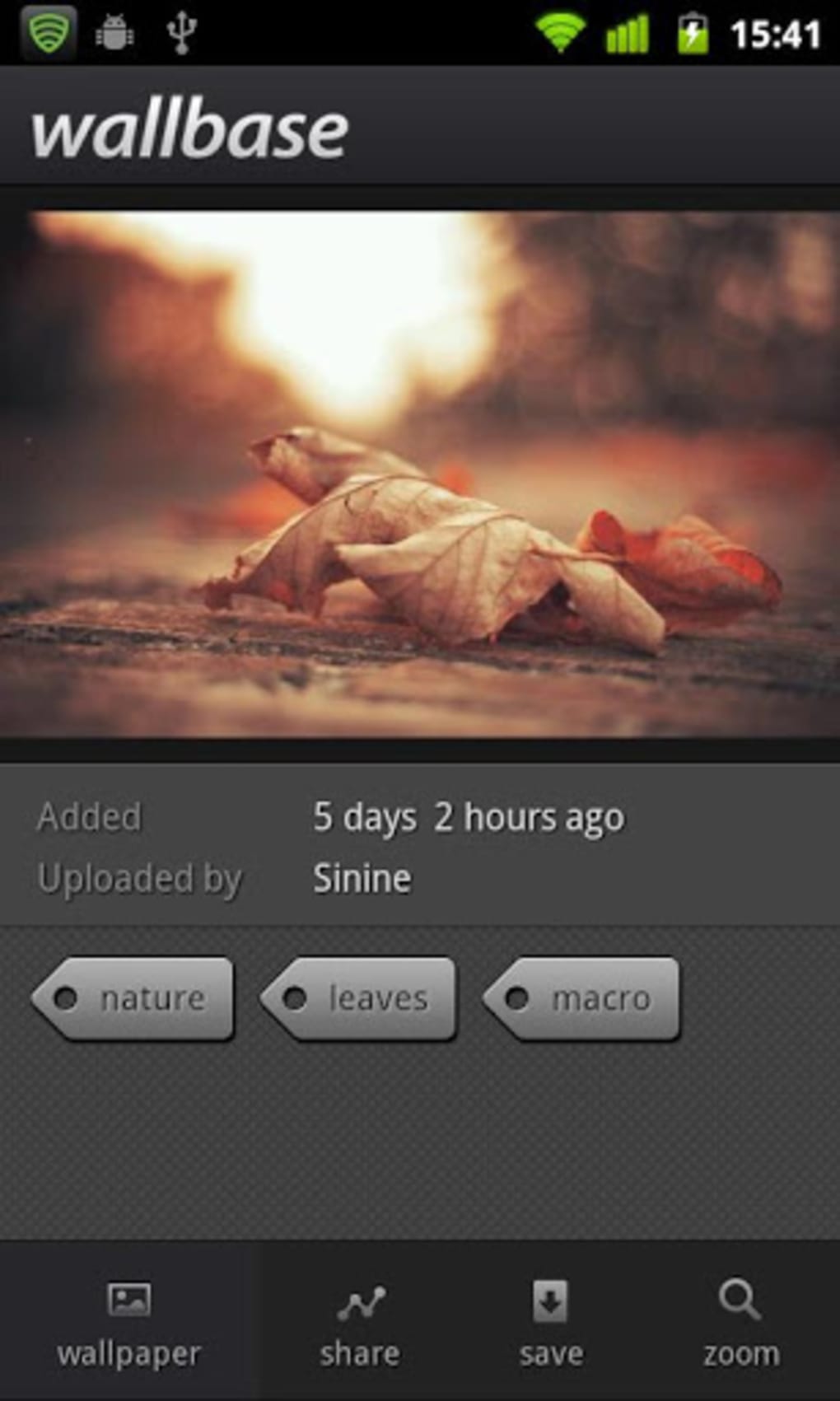 Wallpaper - HD Wallpaper 