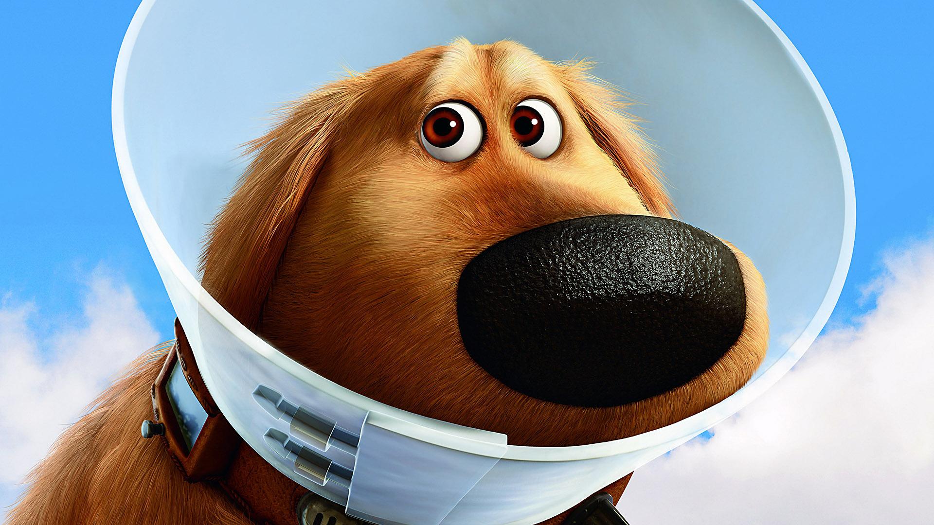 Dog And Up Image - Movie Dog Cartoon Characters - HD Wallpaper 