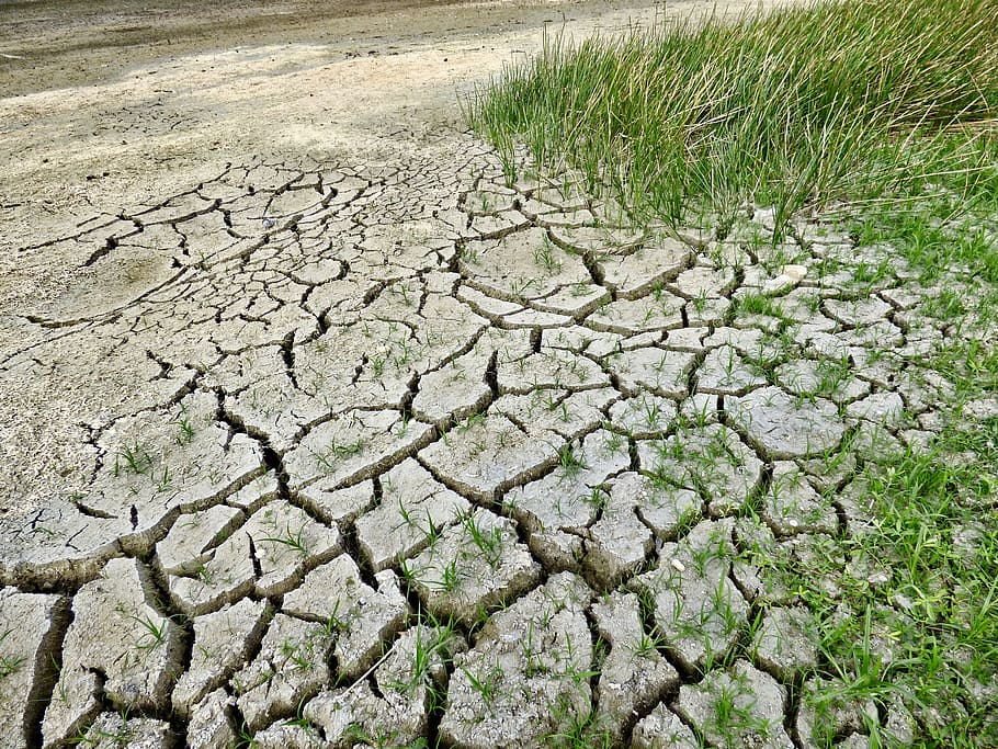Green Grass, Climate Change, Drought, Dry, Environment, - HD Wallpaper 