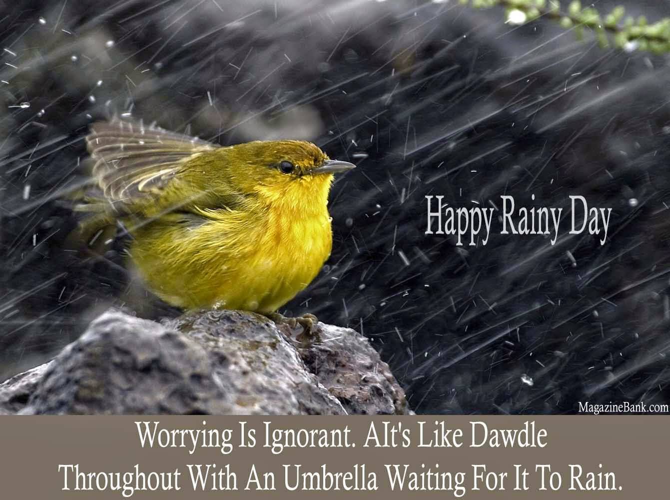 Rainy Good Morning Wish - HD Wallpaper 