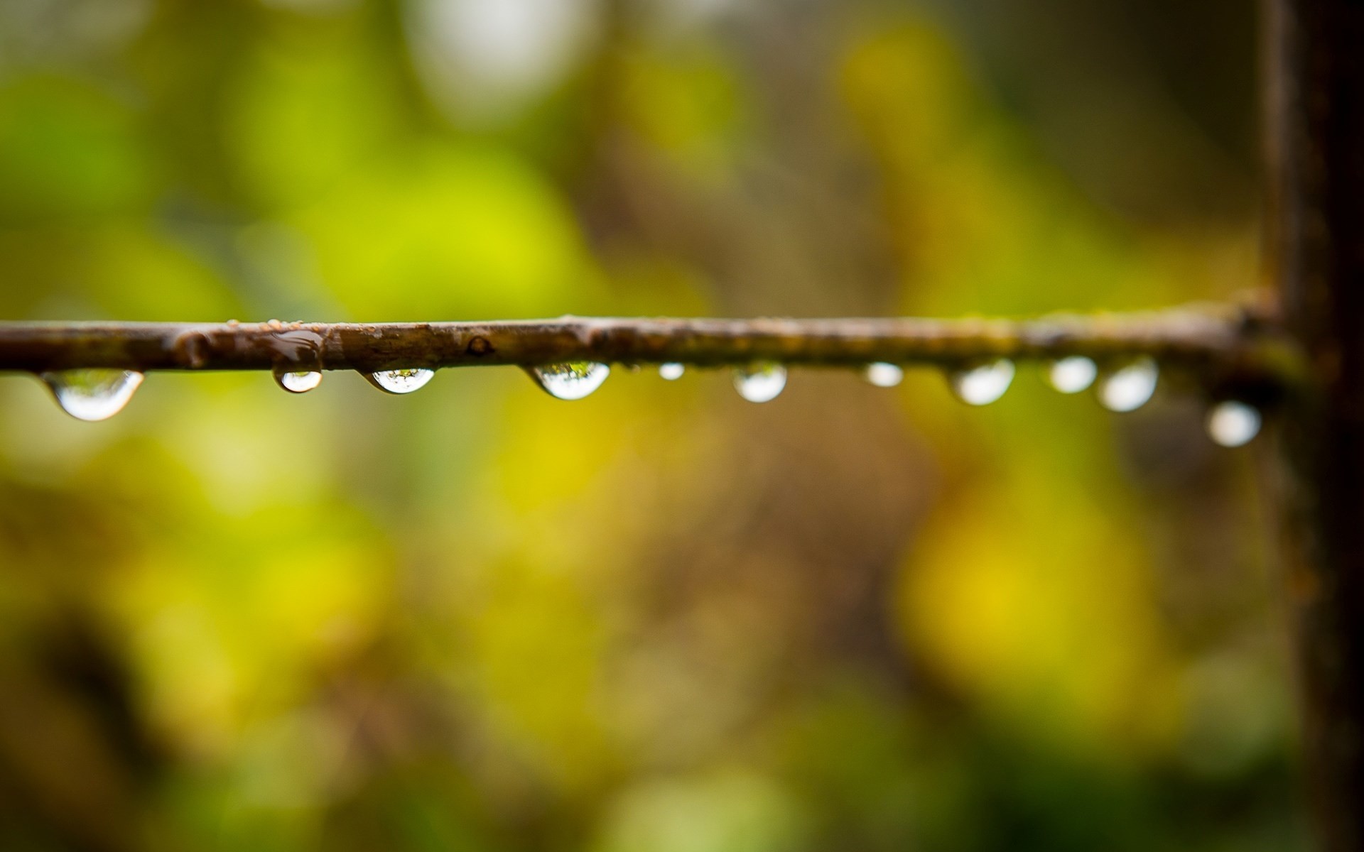 1920x1200, Rain Desktop Hd Wallpapers 
 Data Id 360325 - Background Water Hd Blur - HD Wallpaper 