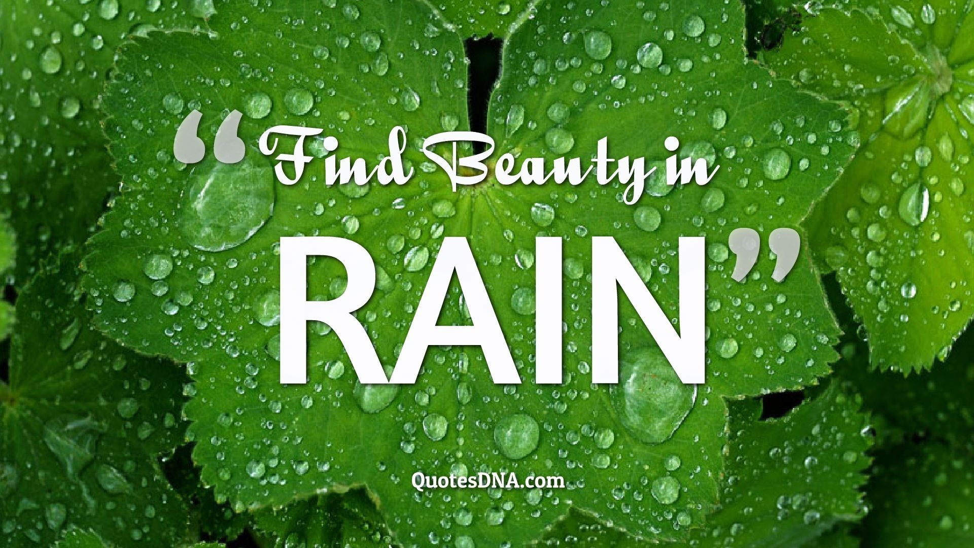 Find Beauty In Rain 
 Data Src Amazing Beautiful Rain - Greenery After Rain Quotes - HD Wallpaper 