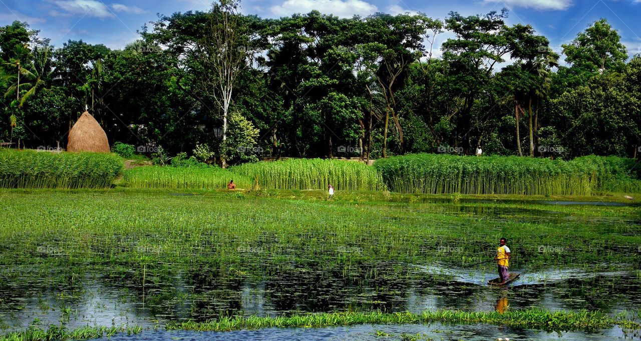 Bangladesh Nature - HD Wallpaper 