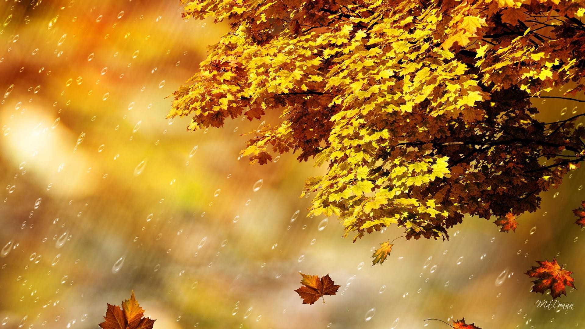 Rainy Fall Wallpaper - Rainy Autumn Monday Quotes - HD Wallpaper 