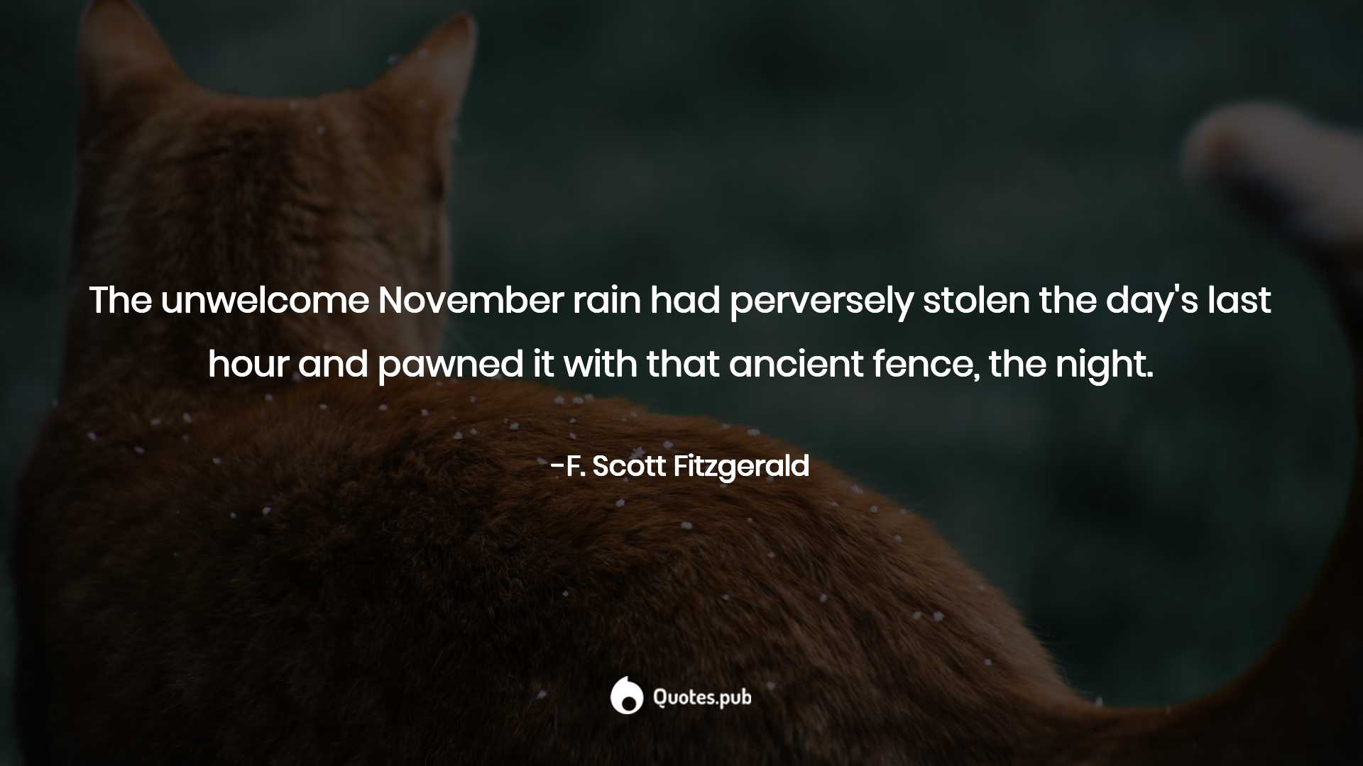 Arabian Mau - HD Wallpaper 