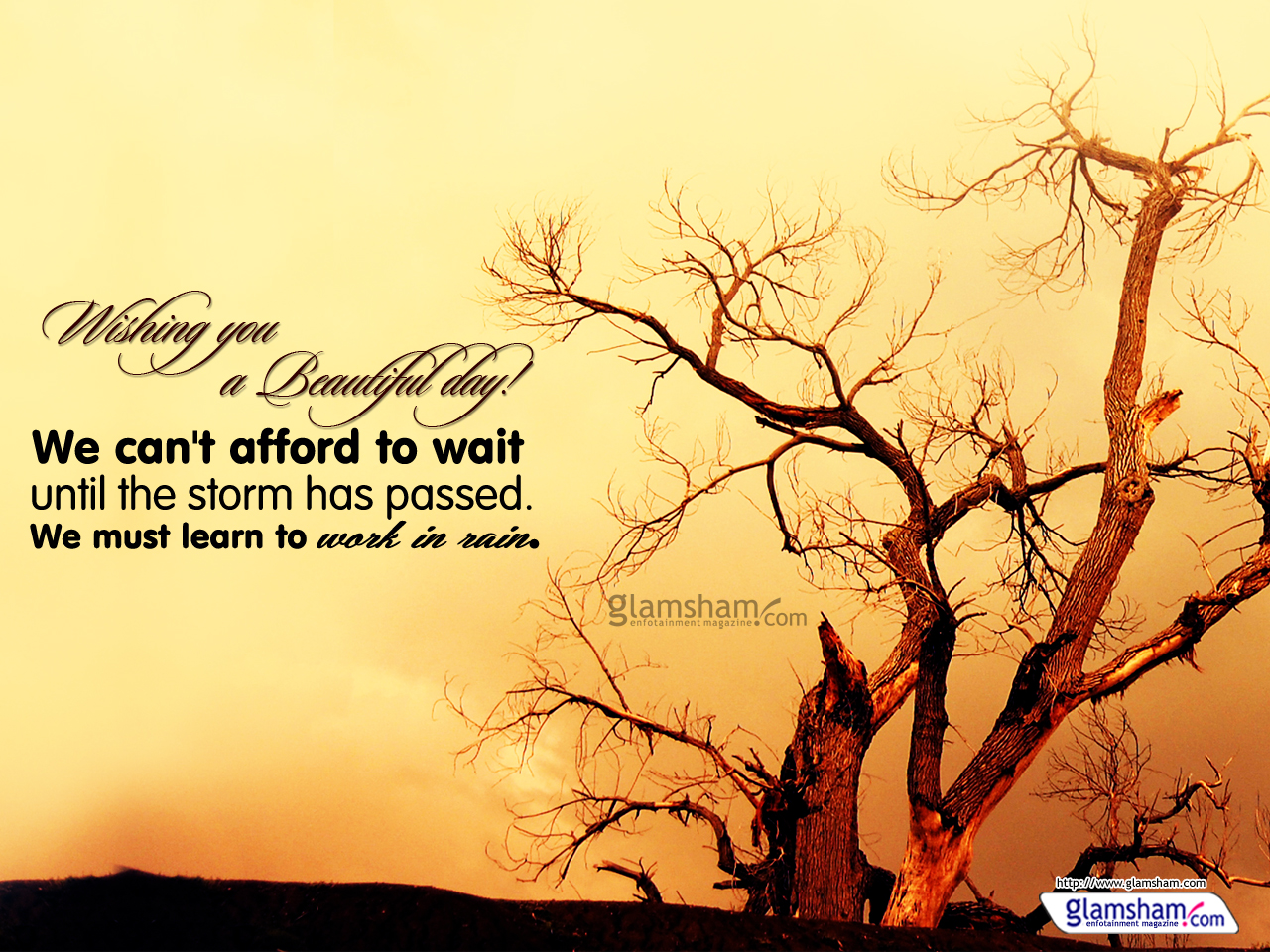 Good Morning The Storm Has Passed - HD Wallpaper 