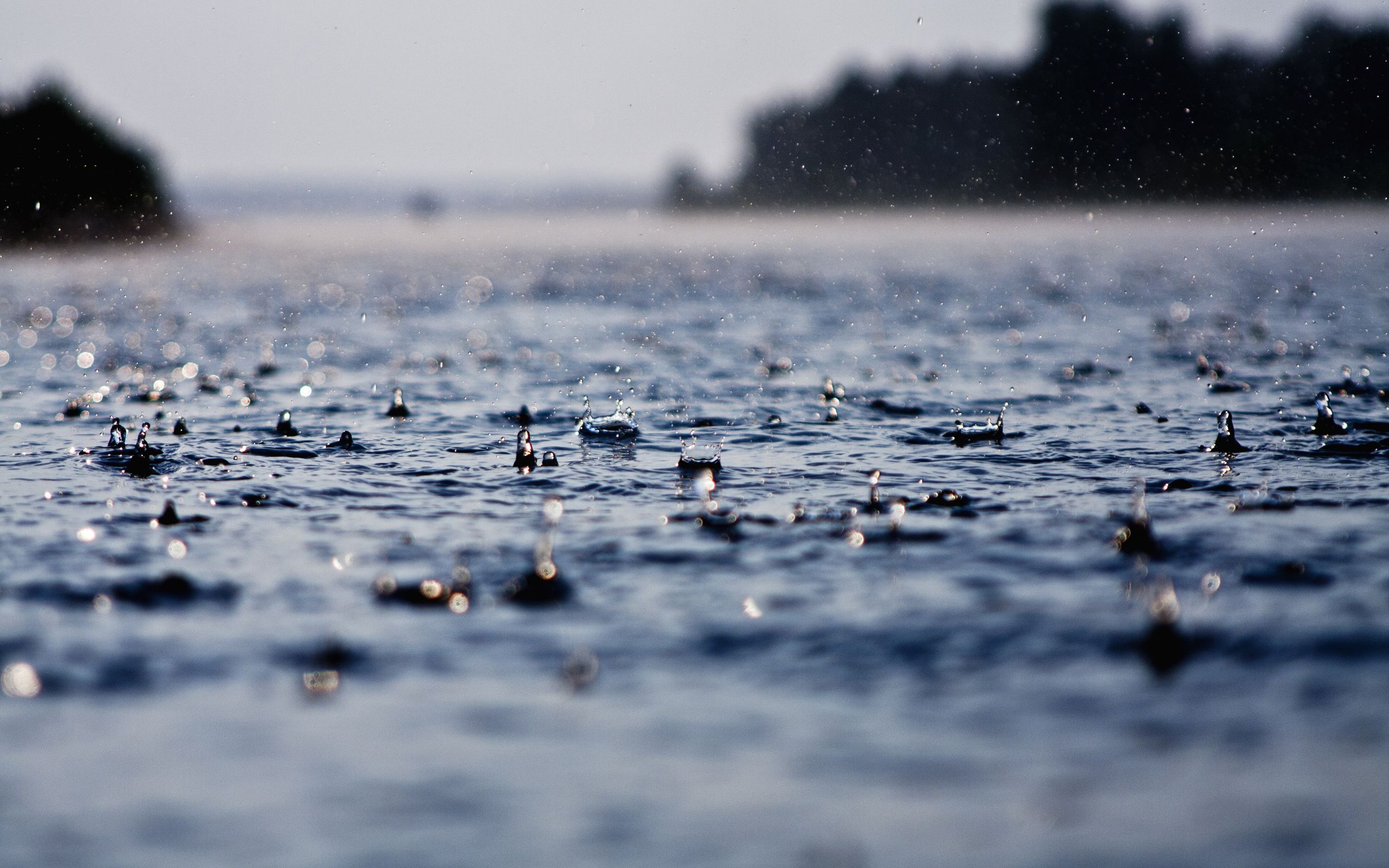 Drop, Drops, Rain, Rains, Water, Wet, Rainfall, Showers - Rainfall Hd - HD Wallpaper 