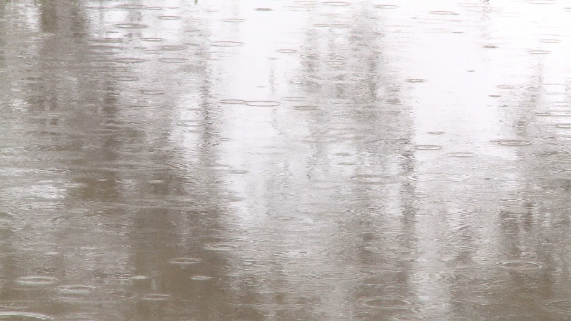 Reflection - HD Wallpaper 