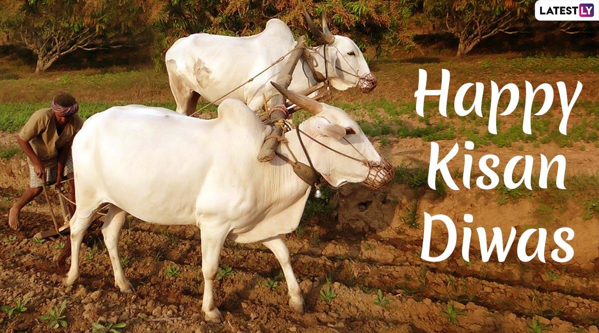 Kisan Diwas - HD Wallpaper 