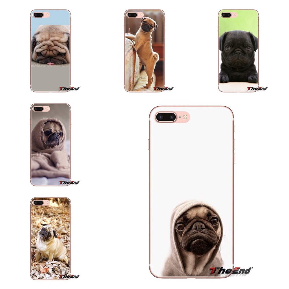 Black Pug Puppy - HD Wallpaper 