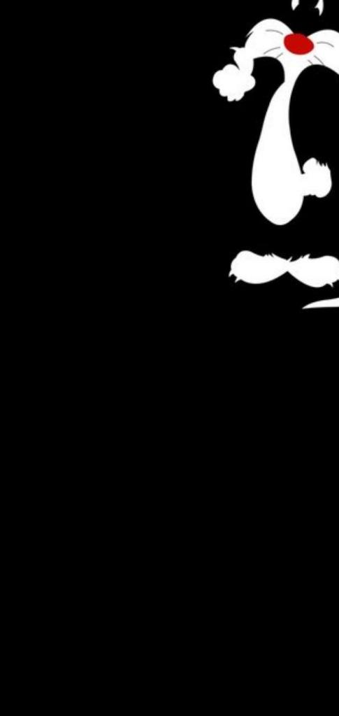 Sylvester The Cat - HD Wallpaper 