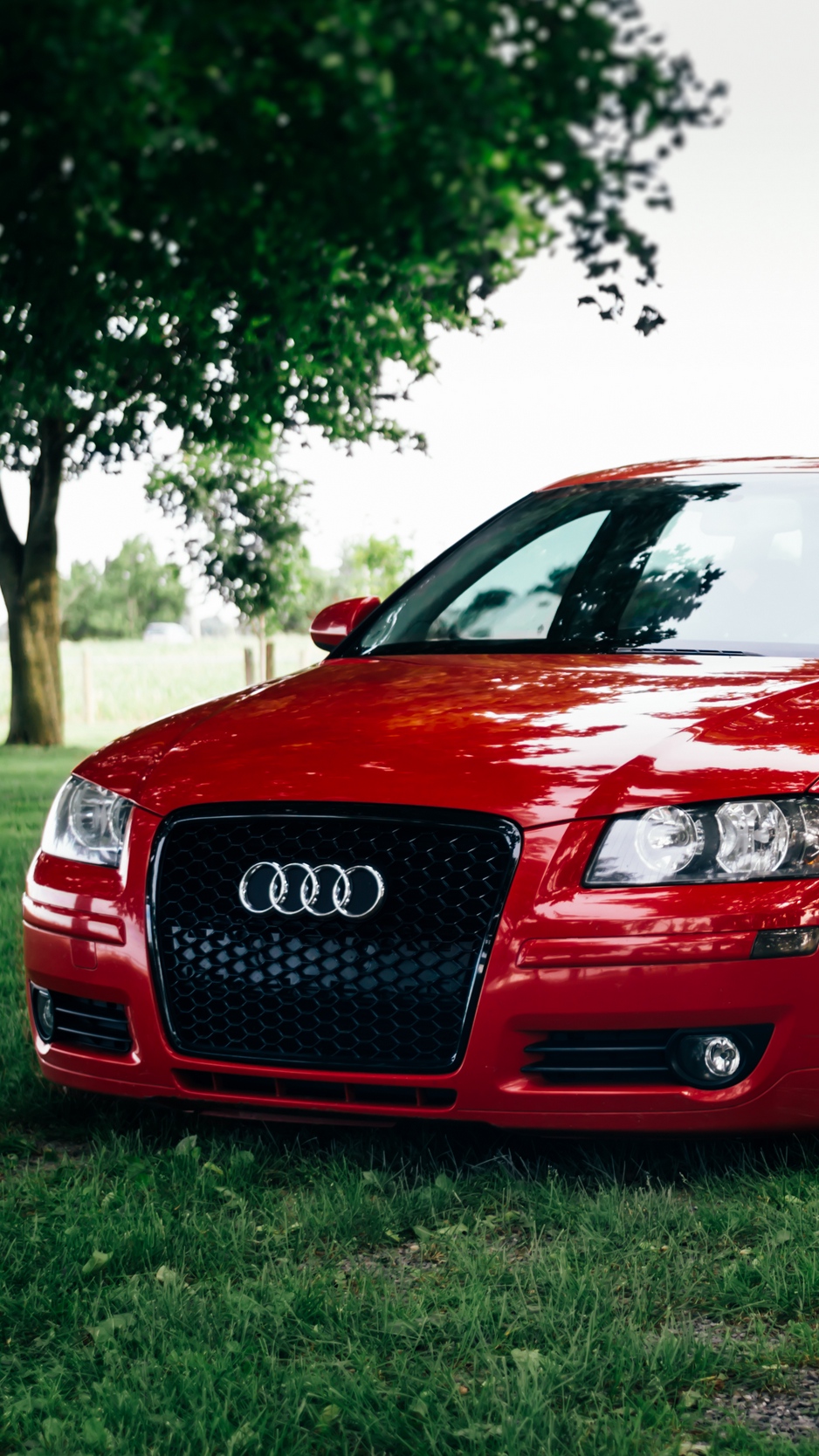 Wallpaper Audi A3 Red Front View Auto Grass Audi A3 Wallpaper Iphone 938x1668 Wallpaper Teahub Io