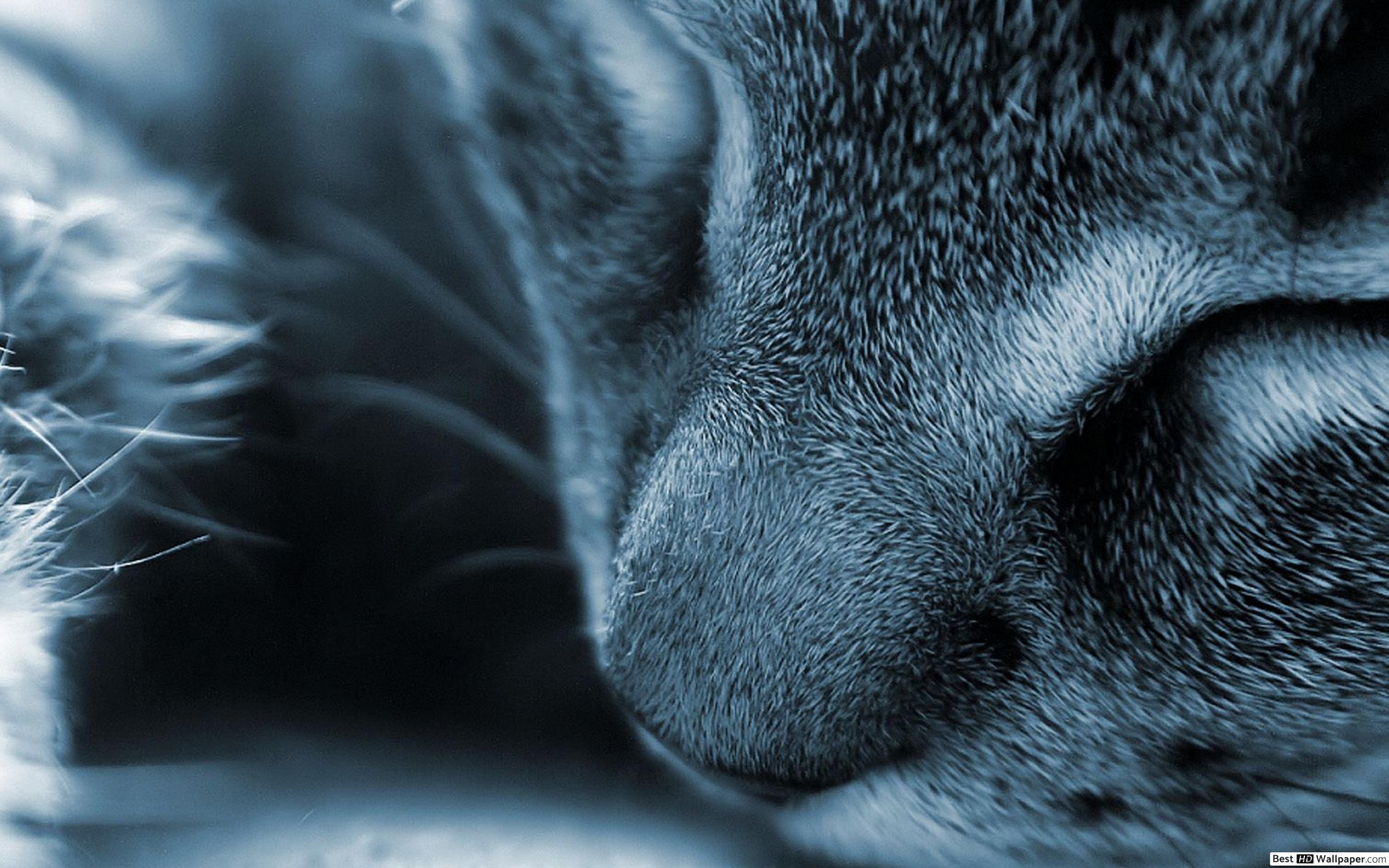 Envy Those Who Sleep Easily - HD Wallpaper 