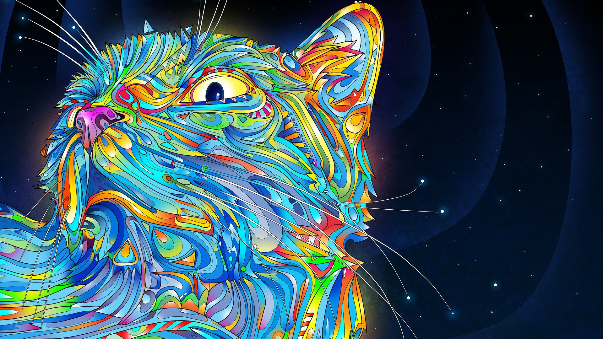 Galaxy Cat Wallpaper - HD Wallpaper 