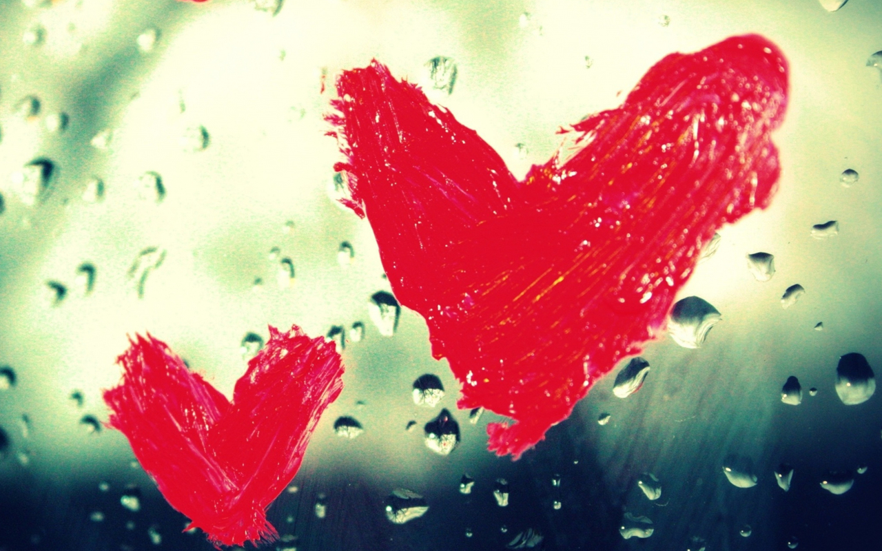 Wallpaper - HD Wallpaper 