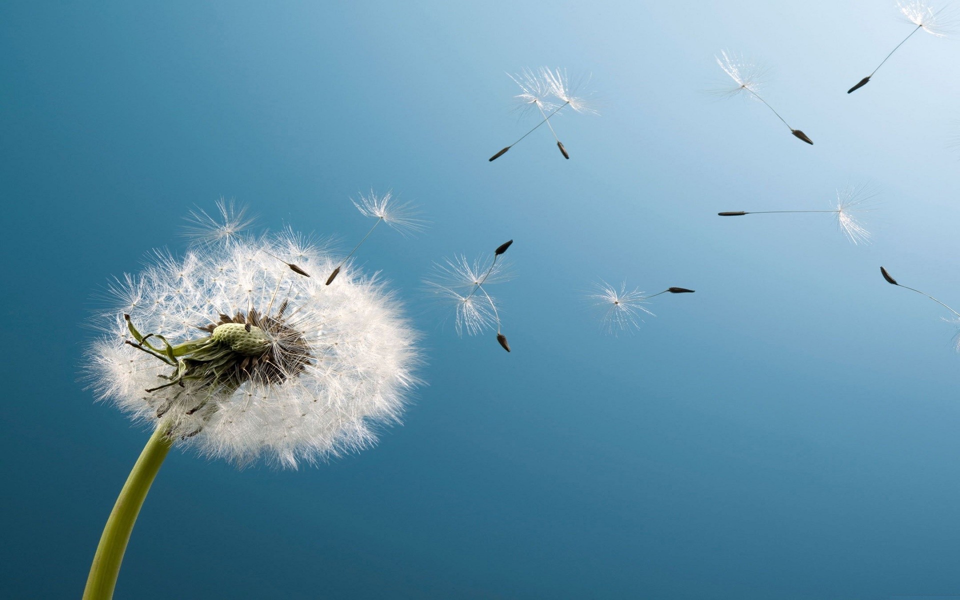 Samsung Wallpaper Free Download - HD Wallpaper 