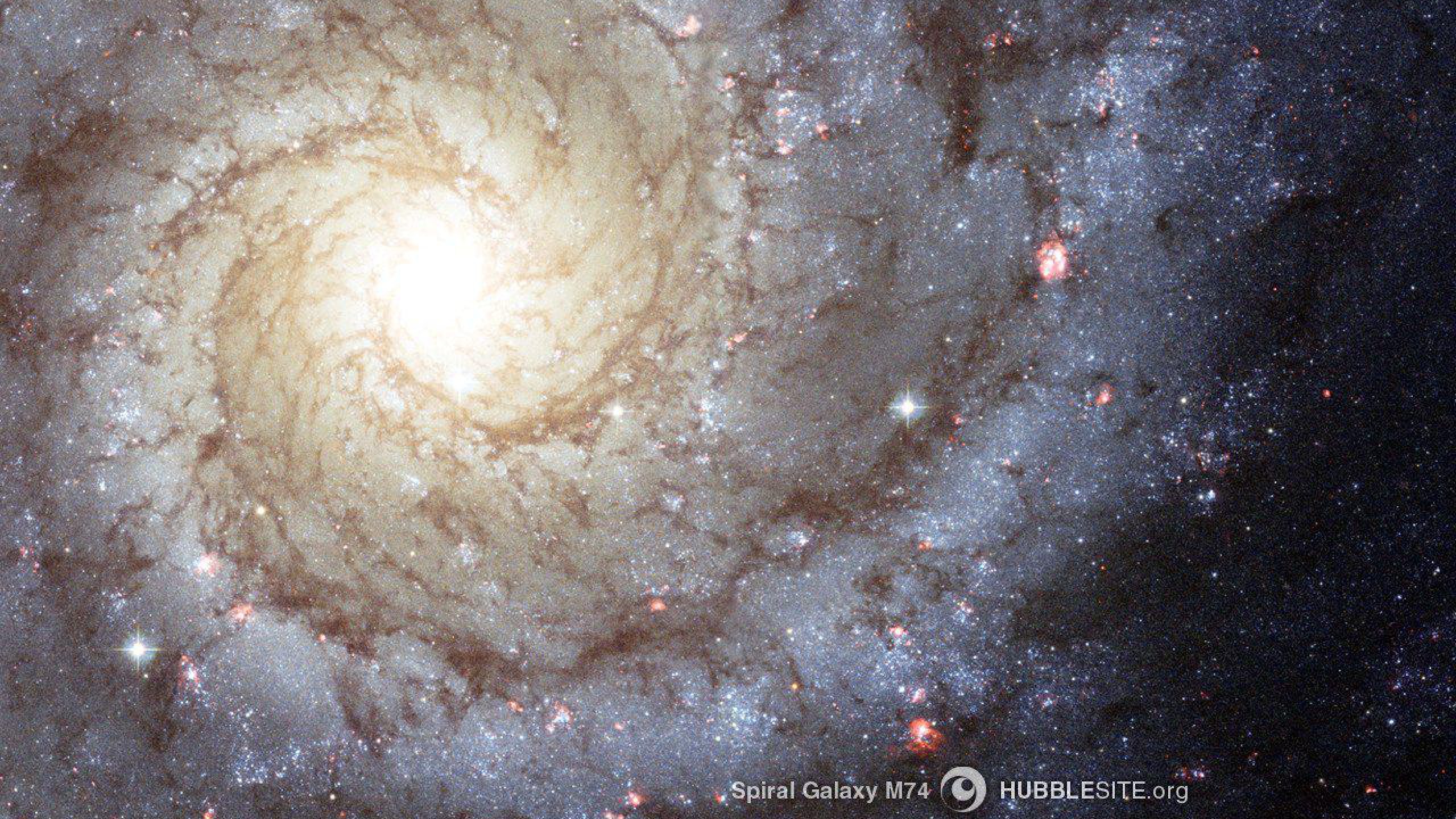 Wells Cathedral - HD Wallpaper 