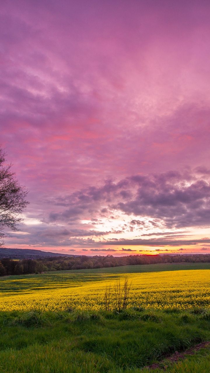 Красивыйпейзаж - HD Wallpaper 